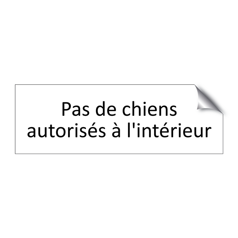 Pas de chiens autorisés à l'intérieur