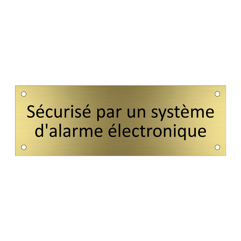 Sécurisé par un système d'alarme électronique