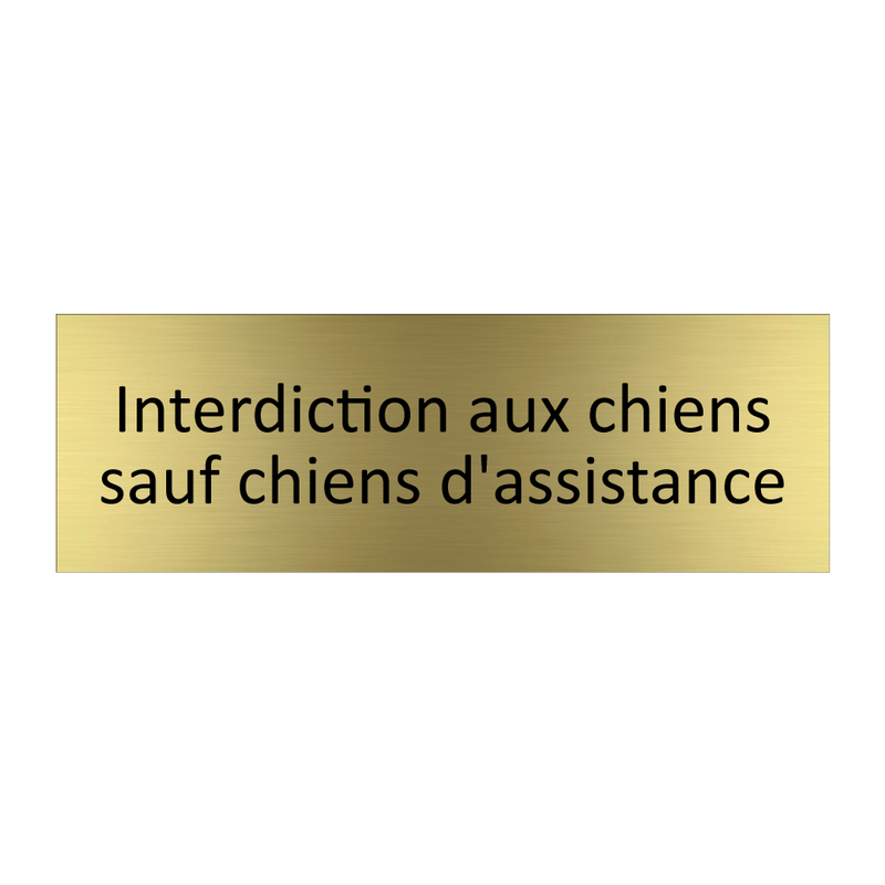 Interdiction aux chiens sauf chiens d'assistance