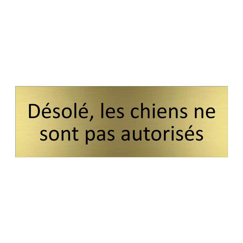 Désolé, les chiens ne sont pas autorisés