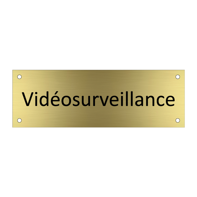 Vidéosurveillance