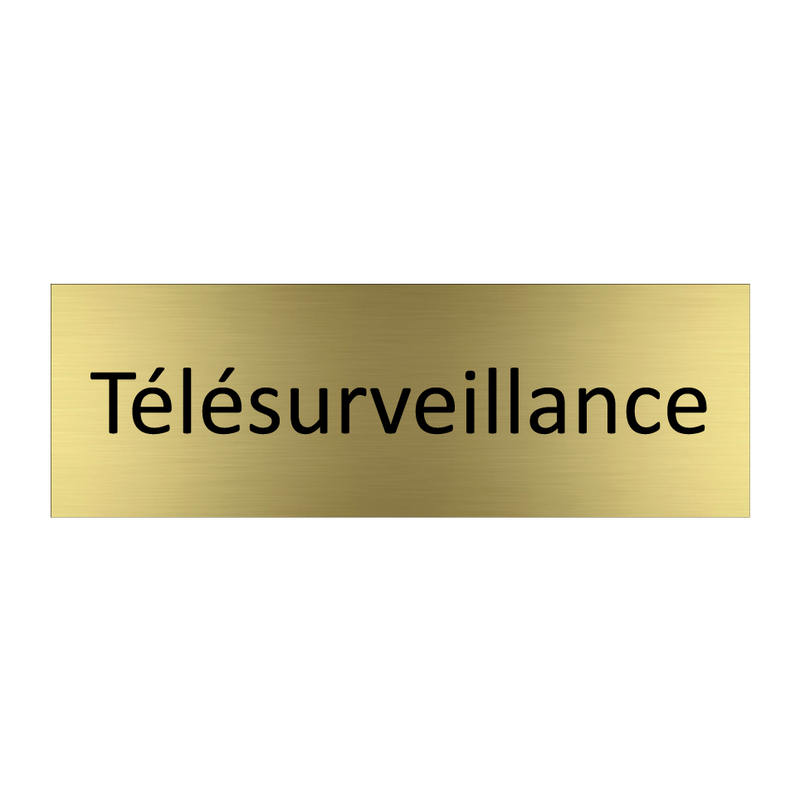 Télésurveillance