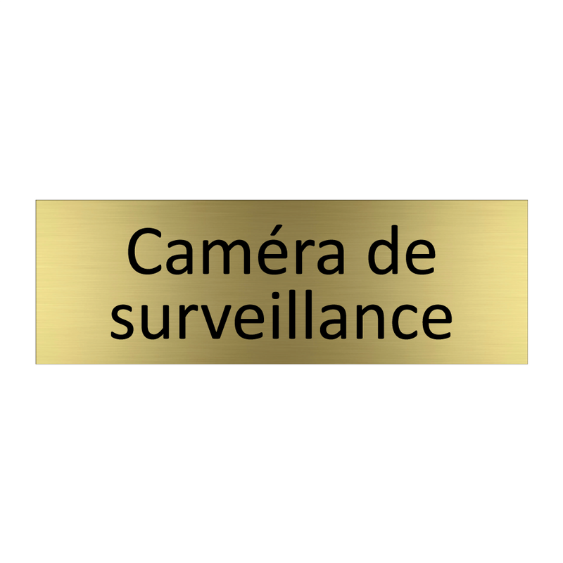 Caméra de surveillance