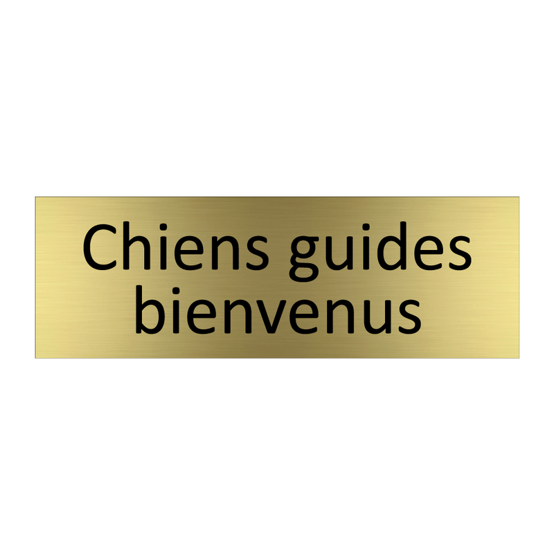 Chiens guides bienvenus