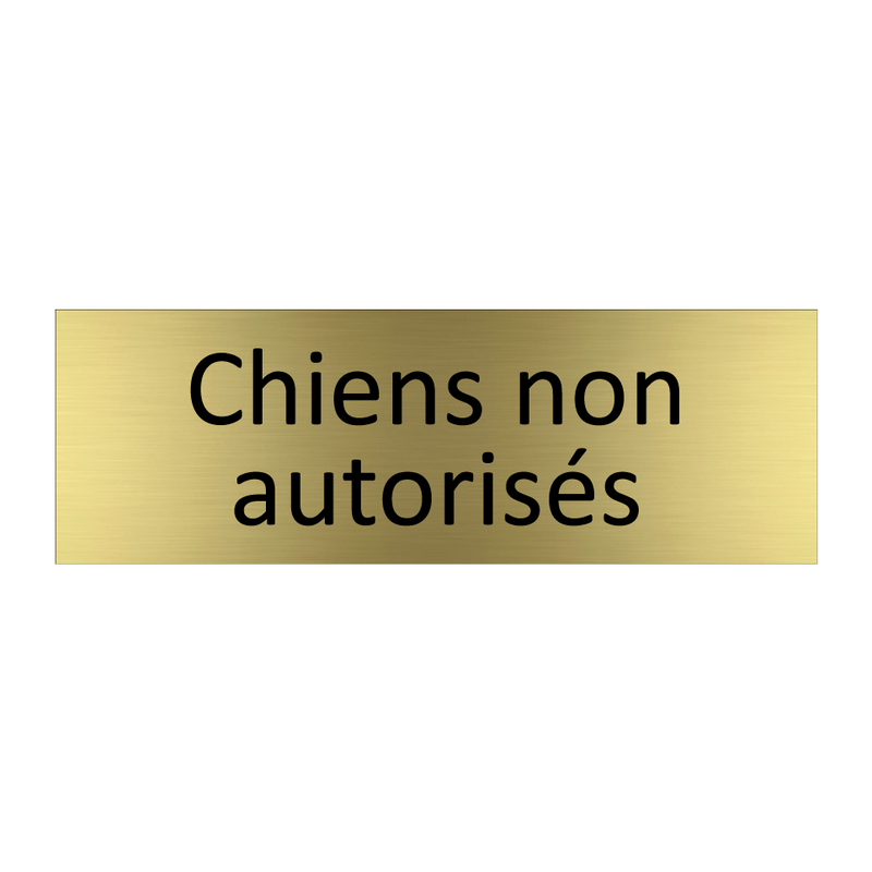 Chiens non autorisés