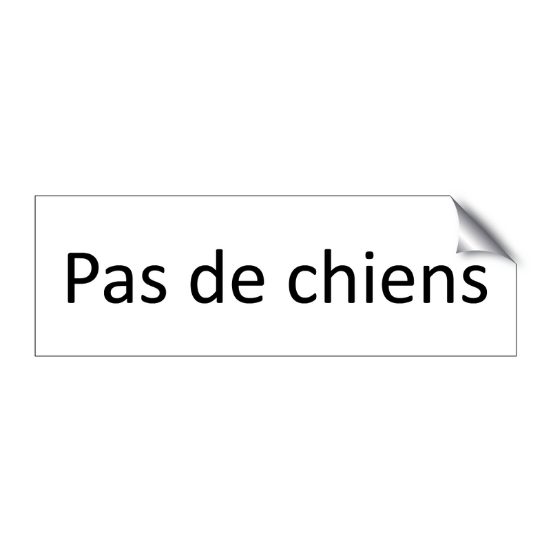 Pas de chiens