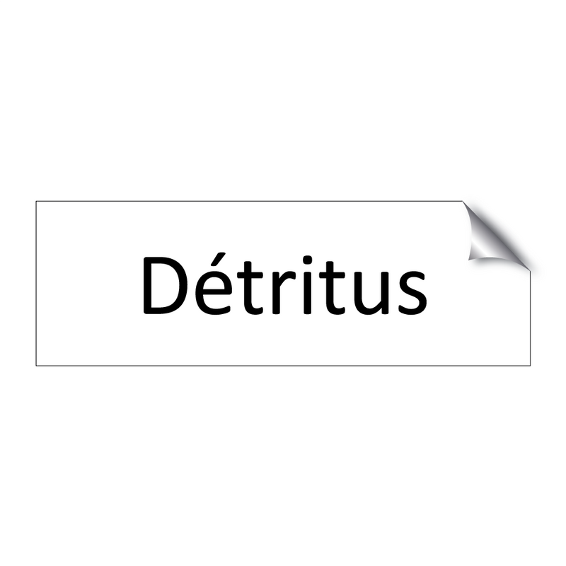 Détritus & Détritus & Détritus