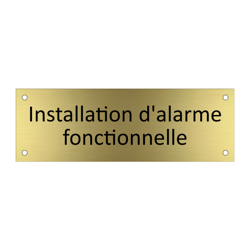 Installation d'alarme fonctionnelle