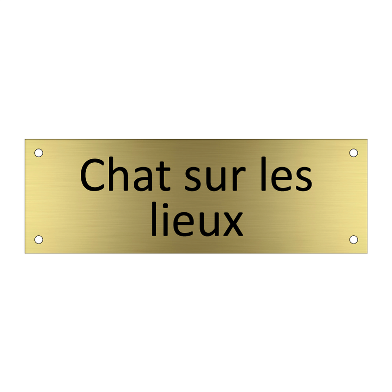 Chat sur les lieux