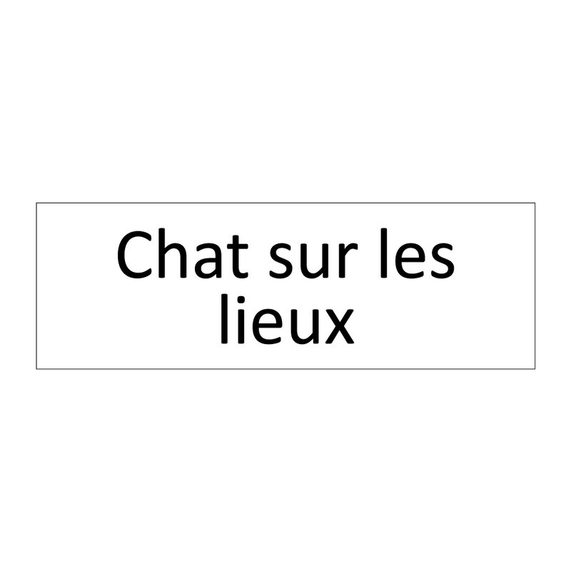 Chat sur les lieux