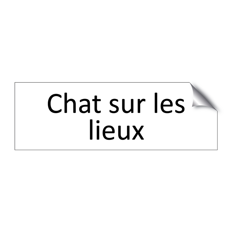 Chat sur les lieux