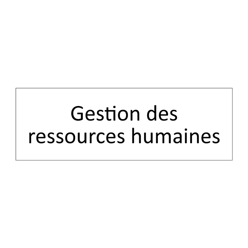 Gestion des ressources humaines