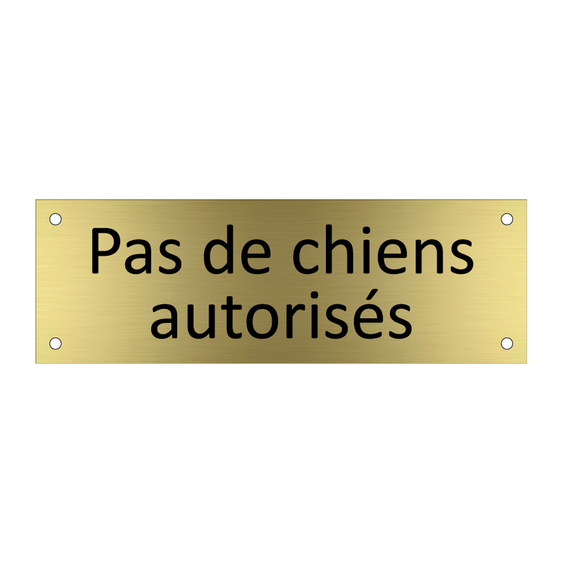 Pas de chiens autorisés