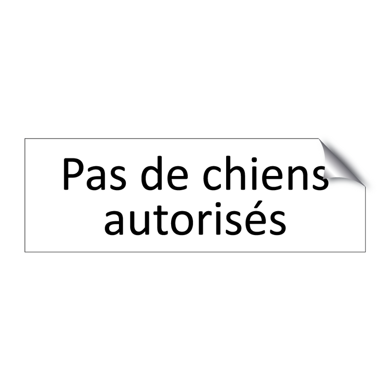 Pas de chiens autorisés