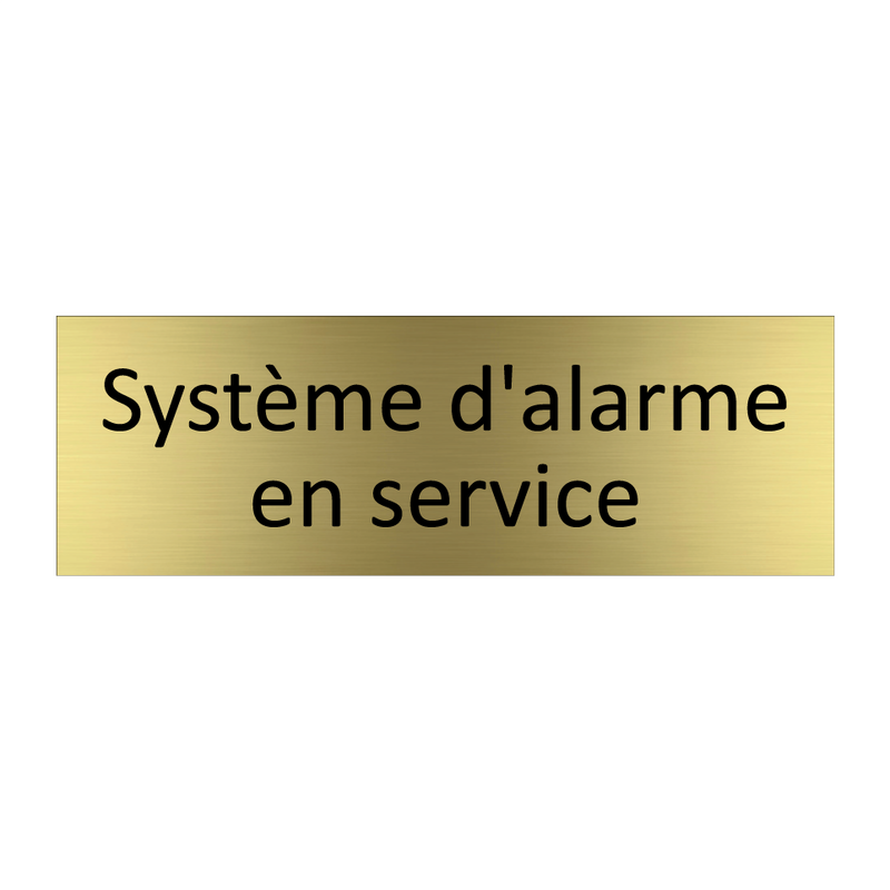 Système d'alarme en service