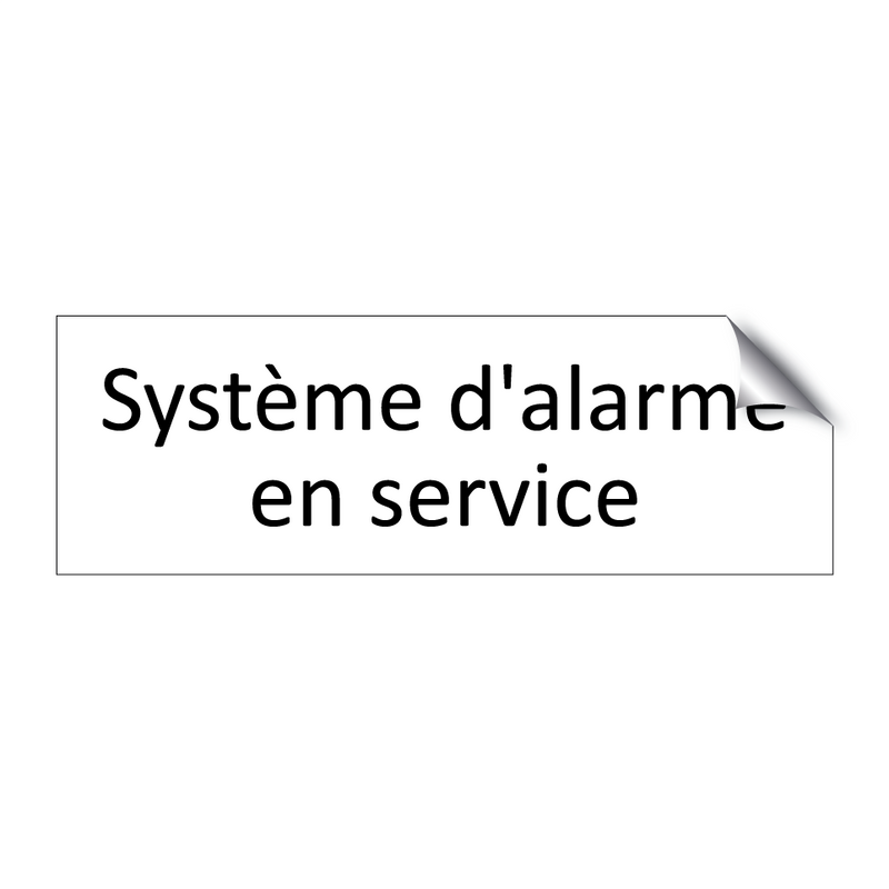 Système d'alarme en service