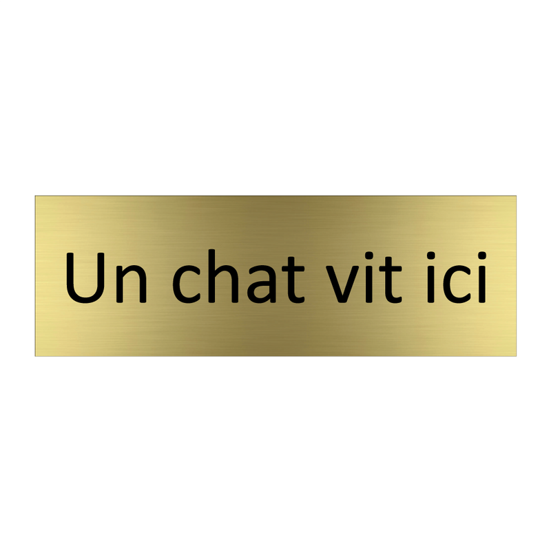 Un chat vit ici