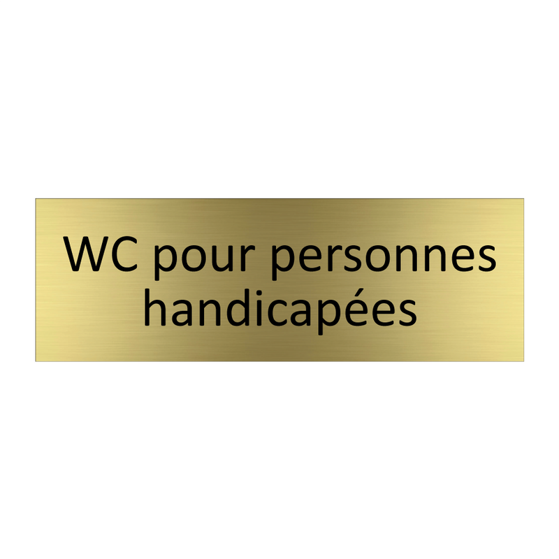 WC pour personnes handicapées