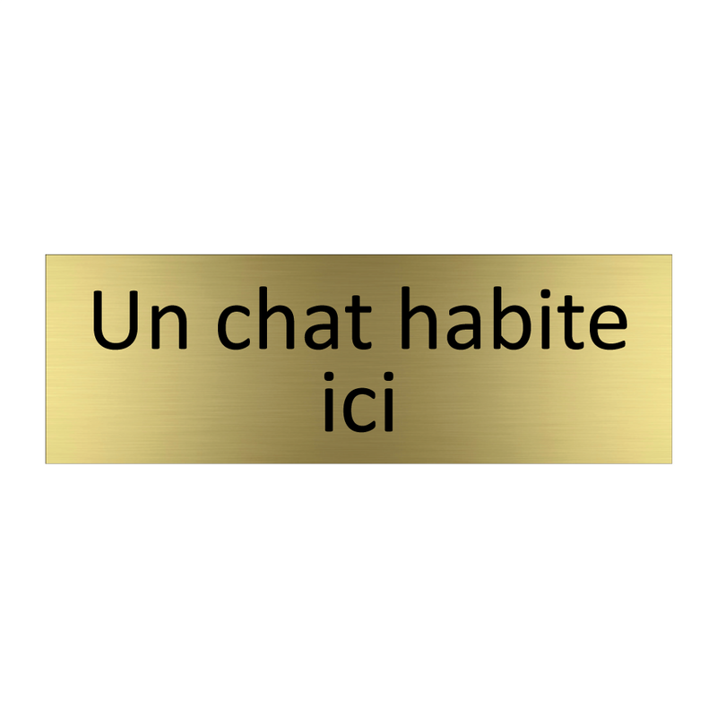 Un chat habite ici