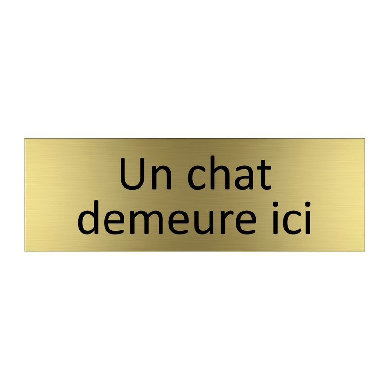 Un chat demeure ici