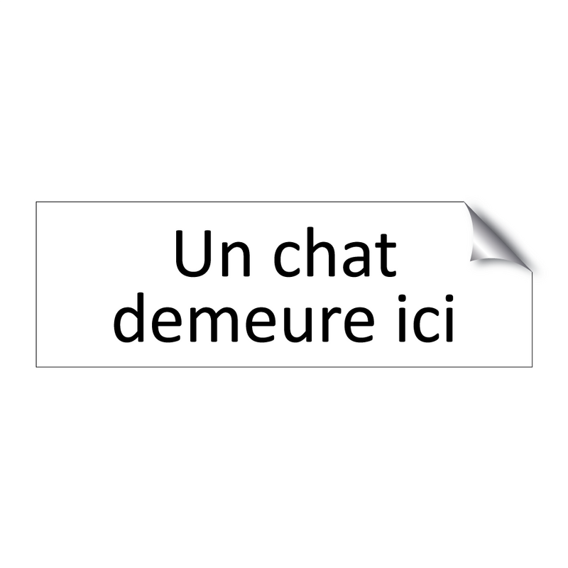 Un chat demeure ici