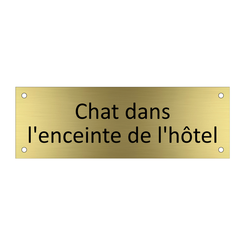 Chat dans l'enceinte de l'hôtel