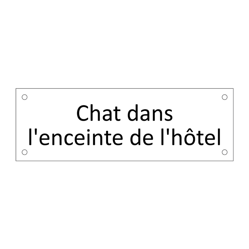 Chat dans l'enceinte de l'hôtel