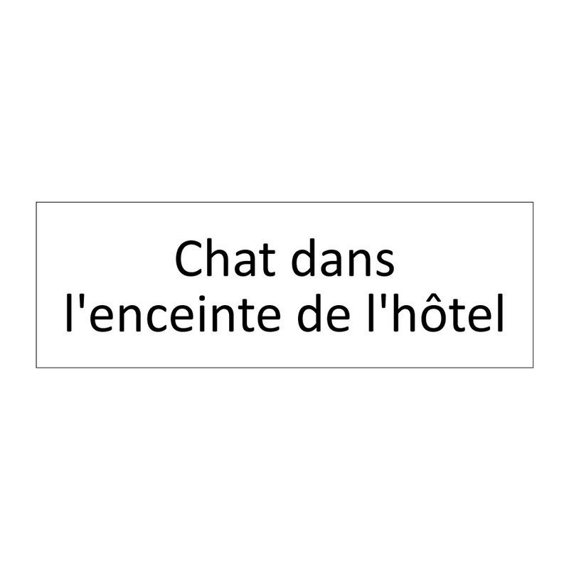 Chat dans l'enceinte de l'hôtel