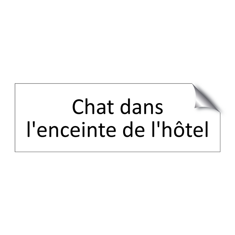 Chat dans l'enceinte de l'hôtel