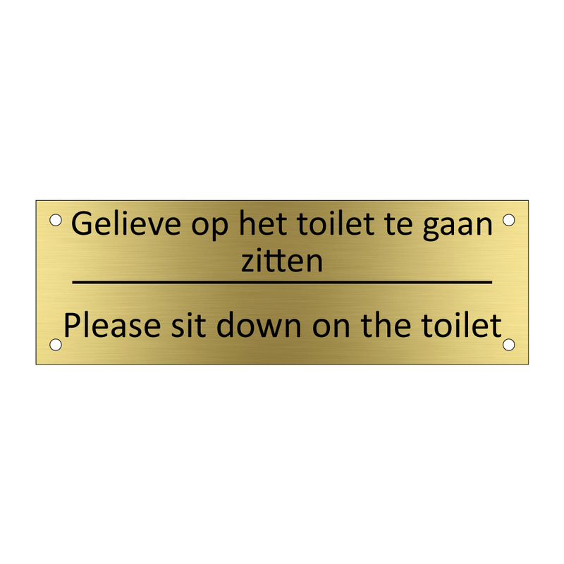 Gelieve op het toilet te gaan zitten - Please sit down on the toilet