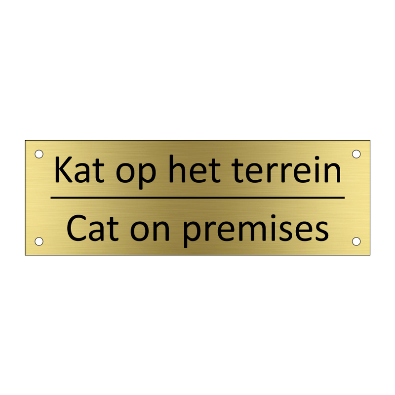 Kat op het terrein - Cat on premises & Kat op het terrein - Cat on premises