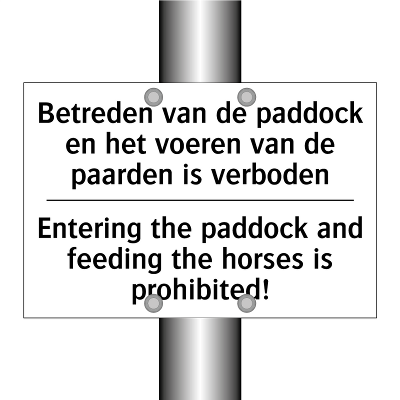 Betreden van de paddock en het /.../ - Entering the paddock and feeding /.../