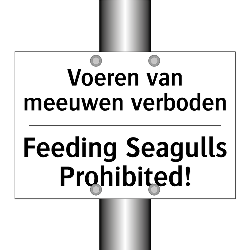 Voeren van meeuwen verboden - Feeding Seagulls Prohibited!