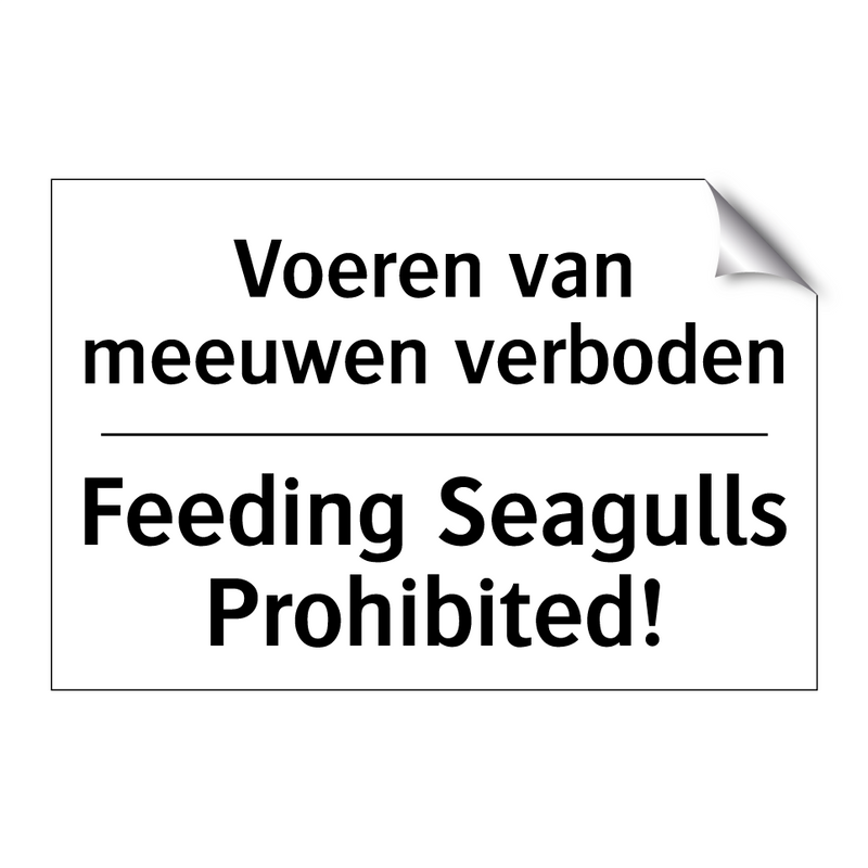 Voeren van meeuwen verboden - Feeding Seagulls Prohibited!