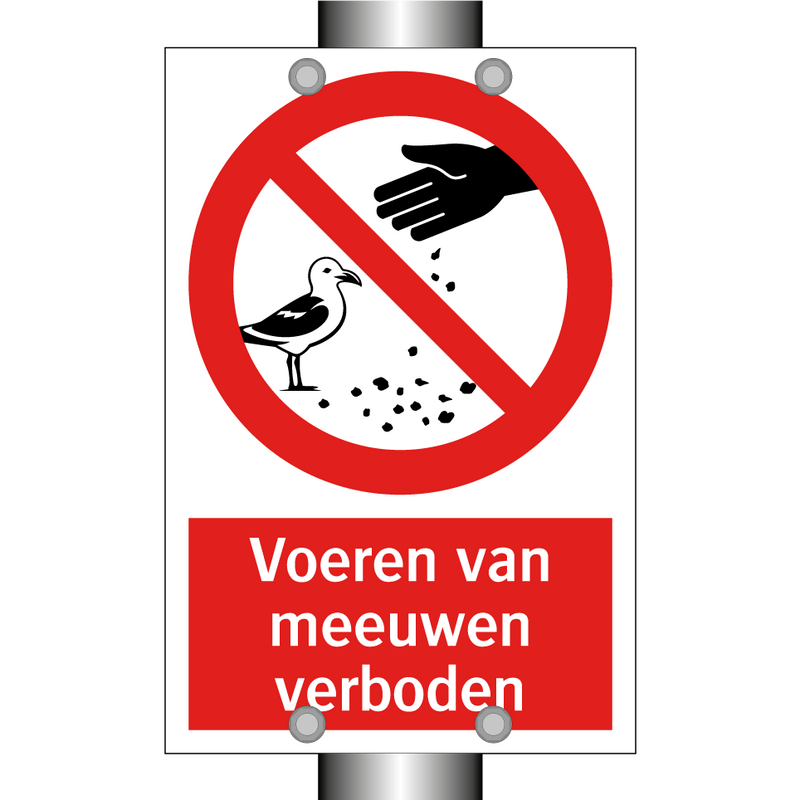 Voeren van meeuwen verboden