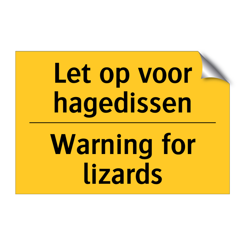 Let op voor hagedissen - Warning for lizards & Let op voor hagedissen - Warning for lizards