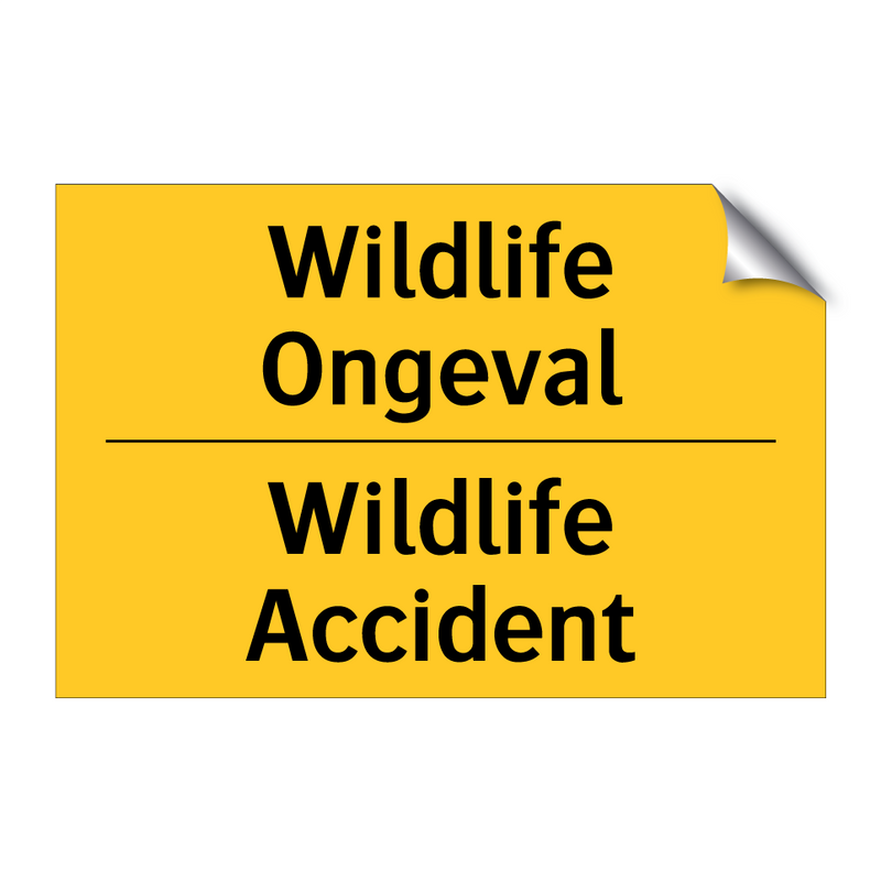 Wildlife Ongeval - Wildlife Accident & Wildlife Ongeval - Wildlife Accident