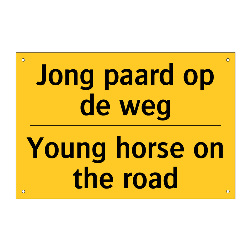 Jong paard op de weg - Young horse on the road & Jong paard op de weg - Young horse on the road