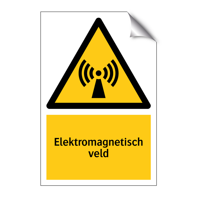 Elektromagnetisch veld