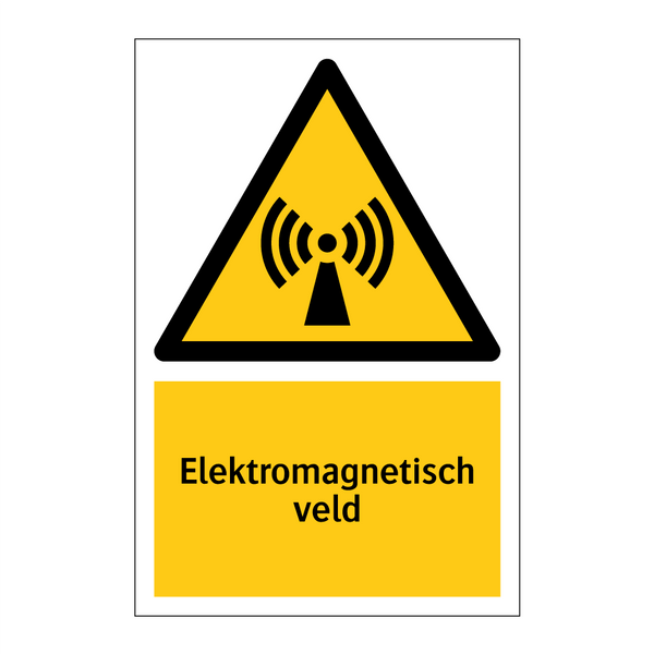 Elektromagnetisch veld