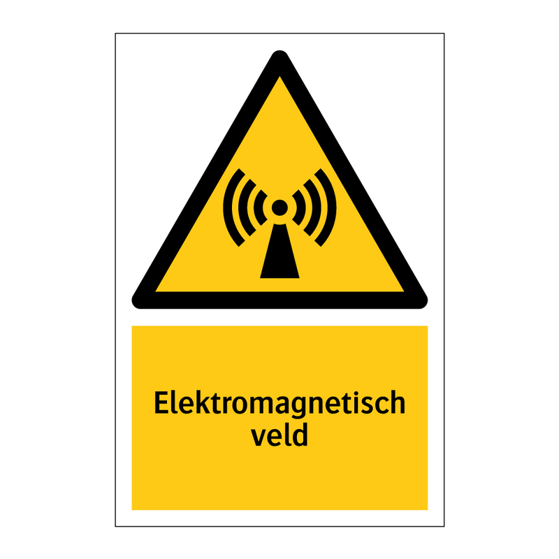 Elektromagnetisch veld