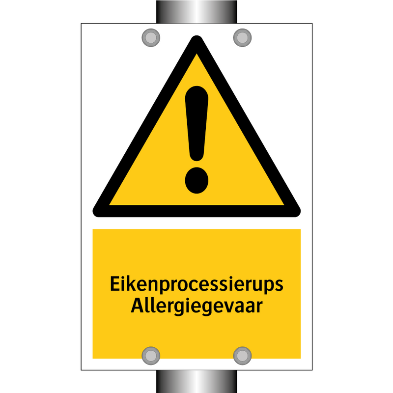 Eikenprocessierups Allergiegevaar