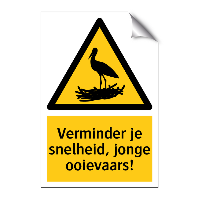 Verminder je snelheid, jonge ooievaars!