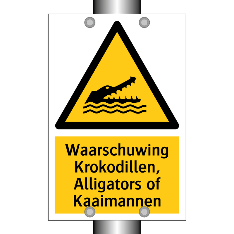 Waarschuwing Krokodillen, Alligators of Kaaimannen