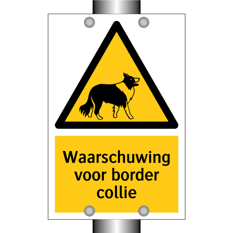 Waarschuwing voor border collie