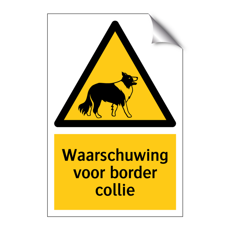 Waarschuwing voor border collie