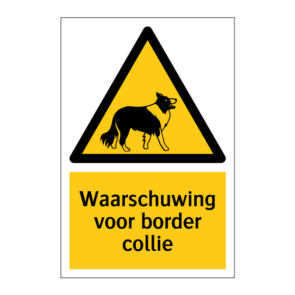 Waarschuwing voor border collie