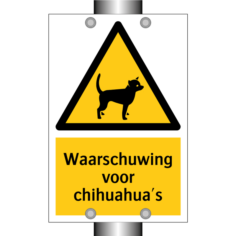 Waarschuwing voor chihuahua's