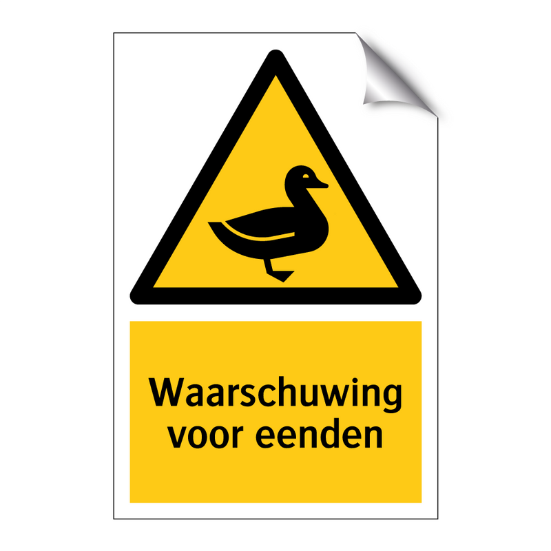 Waarschuwing voor eenden