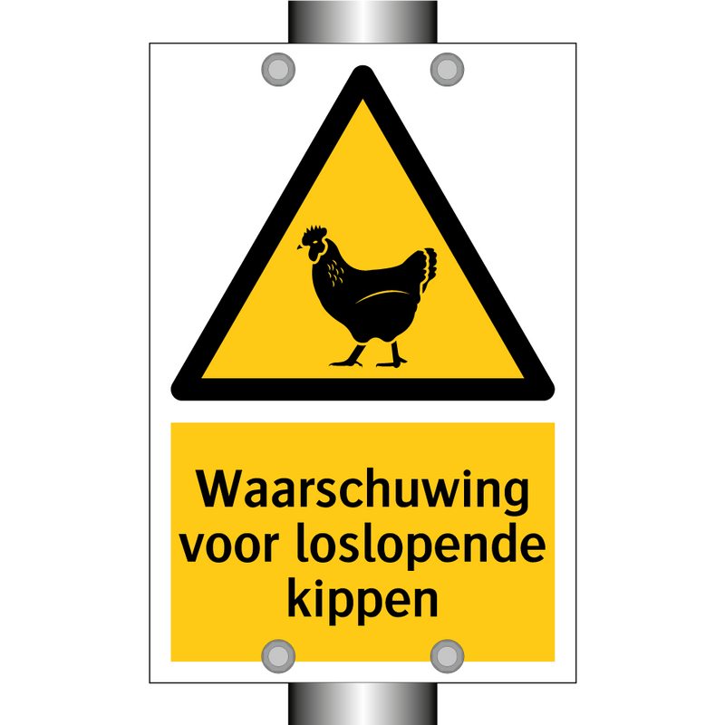 Waarschuwing voor loslopende kippen